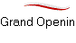 Grand Opening