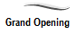 Grand Opening